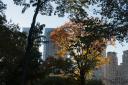 _DSC5735&nbsp;(2014-10-19 15:10:21)
